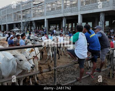 I commercianti locali di animali di allevamento di bestiame mercato aste in Padre Garcia, Batangas, Filippine - 03 Maggio 2019 Foto Stock