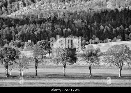 Vista della foresta Solling, fiume Weser, Bassa Sassonia, Germania Foto Stock