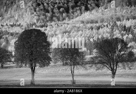 Vista della foresta Solling, fiume Weser, Bassa Sassonia, Germania Foto Stock