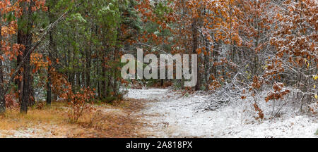 Non ancora inverno Foto Stock