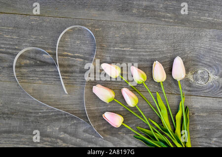 I tulipani tingono con nastro rosa a forma di cuore in bianco su una tavola di legno sfondo vintage. Scheda romantico concetto. La vista dall'alto. Lay piatto Foto Stock