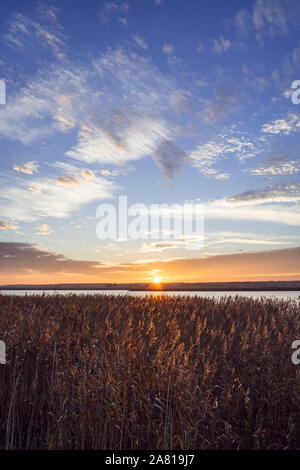 Giornata di sole del tardo autunno, inizio primavera sulla costa del Mar Baltico a Heringsdorf. Foto Stock