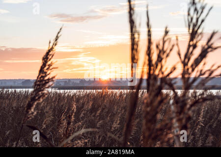 Giornata di sole del tardo autunno, inizio primavera sulla costa del Mar Baltico a Heringsdorf. Foto Stock