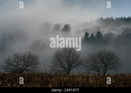 Paesaggio di nebbia, vicino Oberweser, Weser Uplands, Weserbergland, Hesse, Germania; Foto Stock