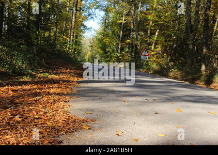 La strada attraverso autunno foresta colorata con segnaletica di pericolo non asfaltata striscia di bordo, la messa a fuoco su oggetti in primo piano Foto Stock