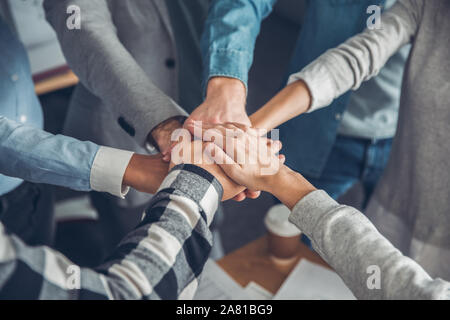 Startupers lavorando in ufficio insieme in piedi tenendo le mani top view close-up Foto Stock