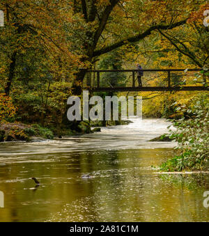 Teign Gorge, Drewsteignton, Devon. 5 novembre 2019. Regno Unito Meteo: un viandante si sofferma a guardare il veloce che scorre il fiume Teign come cascades sotto il ponte in ferro di Castle Drogo a seguito delle recenti piogge pesanti attraverso il Sud Ovest. Credito: Celia McMahon/Alamy Live News. Foto Stock