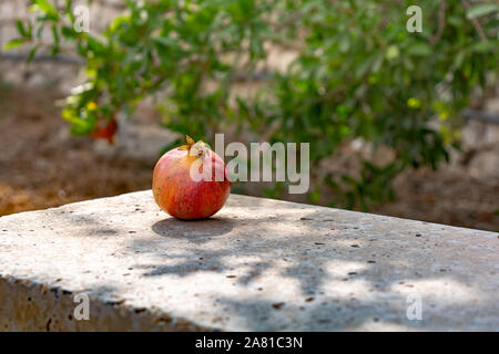 Frutto di melograno giacente sul tavolo esterno Foto Stock