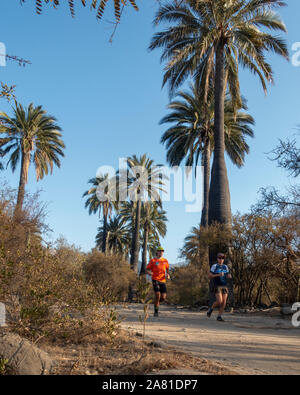 Paio di trail guide su una strada sterrata in La Campana Parco Nazionale del Cile. Foto Stock