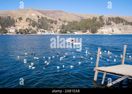 Vista panoramica dello stretto di Tiquina dal San Pedro di Tiquina shore, Bolivia Foto Stock