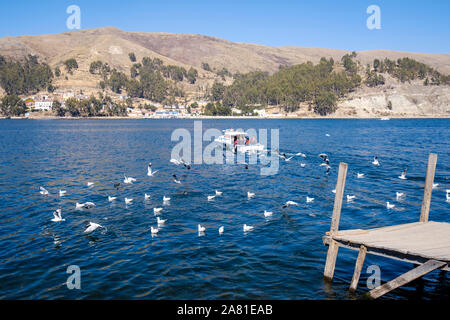 Vista panoramica dello stretto di Tiquina dal San Pedro di Tiquina shore, Bolivia Foto Stock