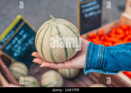 Mature sweet Cavaillon Melon nella mano di una ragazza Foto Stock