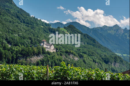 Vaduz castello situato su una verde collina, vigneti in primo piano e sullo sfondo suggestivo massiccio delle Alpi, Vaduz, Liechtenstein. Foto Stock