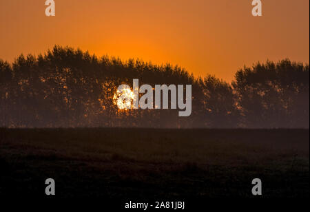 Una gigantesca sfera incandescente che chiamiamo il nostro sole, sorge sopra un Michigan STATI UNITI linea di albero e crea un bel colore arancione glow attraverso il cielo Foto Stock