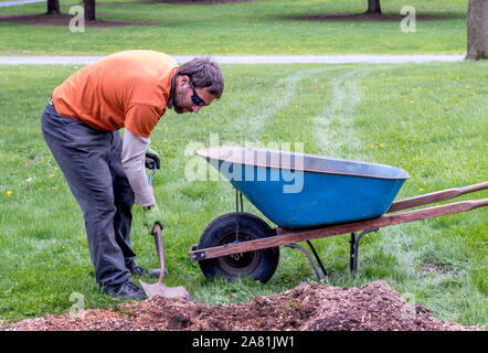 Giovane uomo pulisce polvere di sega e pacciamatura a partire da un ceppo di albero che è stato macinato fino Foto Stock