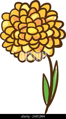 Tagete disegno, illustrazione, vettore su sfondo bianco. Illustrazione Vettoriale