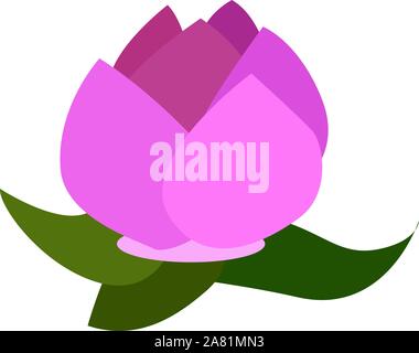 Lotus, illustrazione vettore su sfondo bianco. Illustrazione Vettoriale