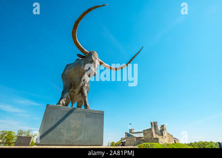 Tarvas statua di arochs bull da Tauno Kangro. Il simbolo della città. Ordine di Livonian rovina del castello su sfondo. Rakvere, Estonia Foto Stock