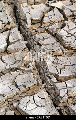 Siccità nella steppa della Patagonia, il paesaggio del deserto. Foto Stock