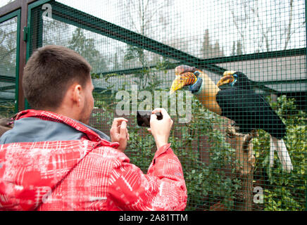 Walsrode, Germania, Aprile 2, 2019: giovane fotografa un uccello in una gabbia allo zoo sul telefono Foto Stock