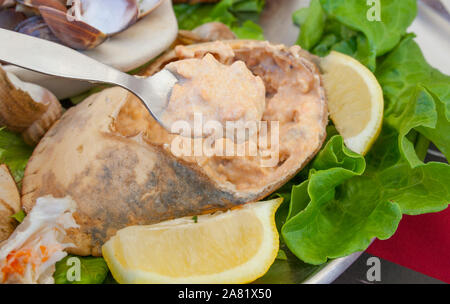 Il portoghese marrone granchio farcito o Sapateira Recheada. Portoghese pasto a base di pesce o marisqueira come sfondo Foto Stock