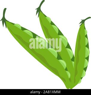 I piselli freschi, illustrazione vettore su sfondo bianco. Illustrazione Vettoriale