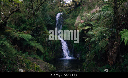 Una cascata nel mezzo della forrest Foto Stock