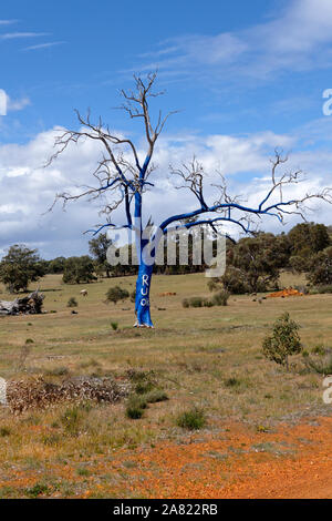 Ti senti bene tree "R U OK' Albero dipinto di blu che simboleggia la malattia mentale, Toodyay, Australia occidentale Foto Stock