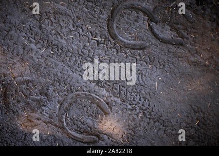 Pneumatico per bicicletta le vie e il ferro di cavallo di stampe nel terreno Foto Stock