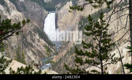 Abbassare cade Visto attraverso gli alberi di pino in artist point a Yellowstone Foto Stock