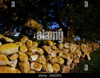 Block Island muro di pietra Foto Stock