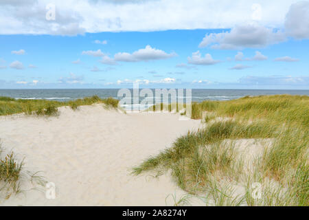 Vista sul bellissimo paesaggio con sabbia e le dune a mare del Nord dello Jutland, Danimarca Foto Stock