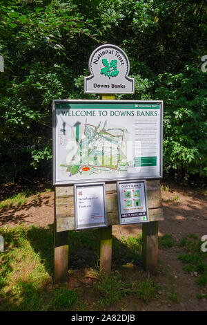 Downs banche, National Trust area di proprietà di aperta campagna e boschi e Heath vicino a pietra, Staffordshire, England, Regno Unito Foto Stock