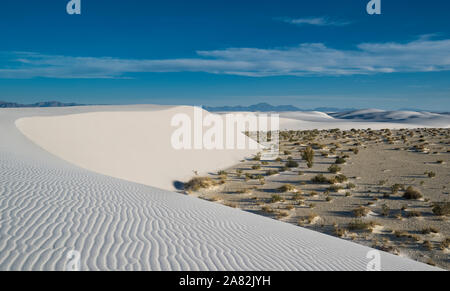 WHITE SANDS National Monument ALAMOGORDO IN NUOVO MESSICO Foto Stock