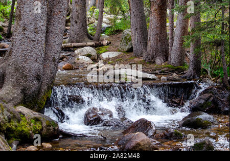 Colorado cascata in una splendida zona boschiva vicino a Mount Evans Foto Stock