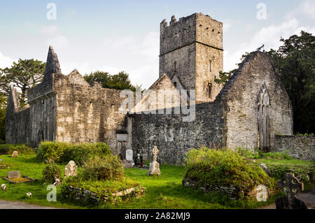 Abbazia Muckross parco nazionale di Killarney County Kerry Irlanda Foto Stock