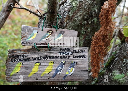 In legno dipinte a mano segno raffigurante vari uccelli locali trovato in garry habitat di quercia in e intorno al monte tolmie. Foto Stock