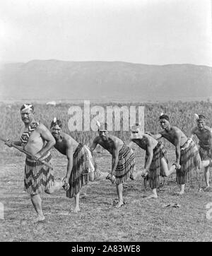 Cinque uomini Maori in posa di abbigliamento tradizionale facendo haka dance (danza di guerra) 1890-1920 Foto Stock