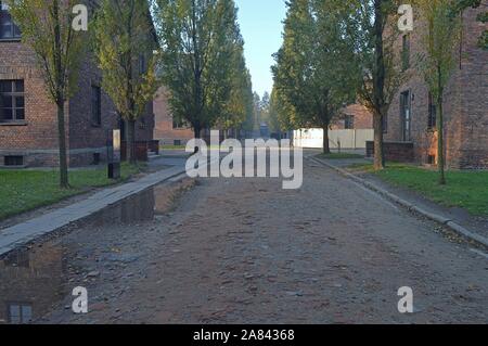 Architettura del campo di concentramento di Auschwitz in Polonia Foto Stock