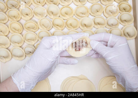 La mamma mani pelmeni con carne macinata, vista dall'alto Foto Stock