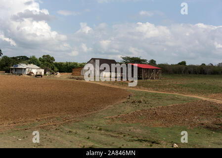 Un'azienda agricola produttrice di tabacco nella Valle de Vinales, un paesaggio culturale mondiale dell'UNESCO nella provincia di Pinar del Río, Cuba occidentale. Foto Stock