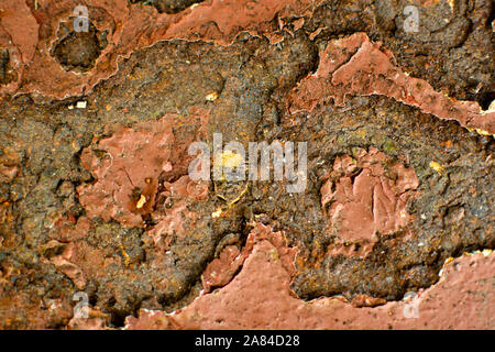 Rusty vernice marrone di un vecchio frigorifero in metallo Foto Stock