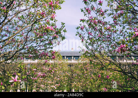 Jardin du Palais Royal, Paris, Francia Foto Stock