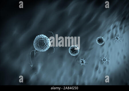 Fagocitano uccide i virus, all'interno del corpo umano, medico di grafica 3D, linfociti linfociti, linfociti contro virus, macrofago uccide i virus Foto Stock