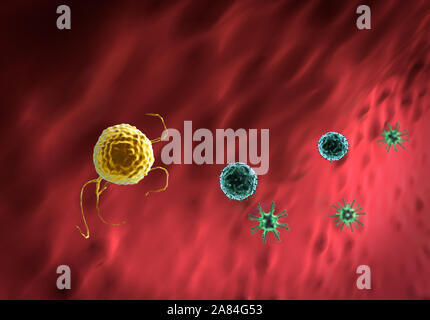 Fagocitano uccide i virus, all'interno del corpo umano, medico di grafica 3D, linfociti linfociti, linfociti contro virus, macrofago uccide i virus Foto Stock