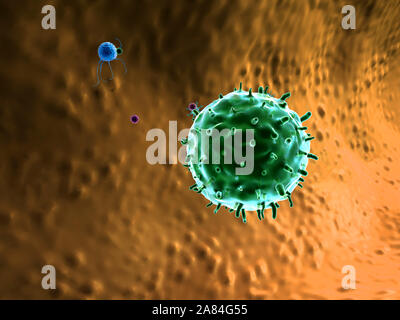 Fagocitano uccide i virus, all'interno del corpo umano, medico di grafica 3D, linfociti linfociti, linfociti contro virus, macrofago uccide i virus Foto Stock