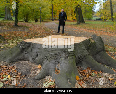 06 novembre 2019, Brandeburgo, Cottbus: Claudio Wecke, parco manager nell'Fürst-Pückler-Parco Branitz, sorge alle spalle di un ceppo di albero di un possente bosco di faggi rossi che erano morti a causa della siccità e dovevano essere abbattuti. In occasione di una conferenza stampa tenutasi lo stesso giorno a Branitz Palace, la Verein Schlösser und Gärten Deutschland e.V. e la Stiftung Fürst-Pückler-museo parco und Schloss Branitz congiuntamente si sono presentati al pubblico e abbiamo parlato circa la corrente i danni ai giardini storici causati dai cambiamenti climatici e i conseguenti pericoli per il patrimonio culturale. In Branitzer Park, il condit Foto Stock