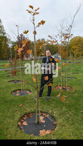 06 novembre 2019, Brandeburgo, Cottbus: Claudio Wecke, parco manager nell'Fürst-Pückler-Parco Branitz, sorge tra alberi giovani nel parco vivai. In occasione di una conferenza stampa tenutasi lo stesso giorno a Branitz Palace, la Verein Schlösser und Gärten Deutschland e.V. e la Stiftung Fürst-Pückler-museo parco und Schloss Branitz congiuntamente si sono presentati al pubblico e abbiamo parlato circa la corrente i danni ai giardini storici causati dai cambiamenti climatici e i conseguenti pericoli per il patrimonio culturale. In Branitzer Park, la condizione del prezioso tree popolazione drastical deteriorata Foto Stock