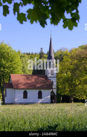 Harz, Sachsen-Anhalt, Deutschland Foto Stock