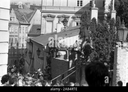 La foto mostra la RPG le vetture che sono state rotte aperte in un bosco vicino al 'bordo verde' di Austria e Ungheria in estate 1989. Migliaia di profughi hanno trovato rifugio presso l' ambasciata della Repubblica federale di Germania a Budapest in primavera e in estate 1989. Dopo la foto è utilizzabile nel rispetto del contesto in cui è stato preso e senza intento diffamatorio del decoro delle persone rappresentate editoriale solo di utilizzo Foto Stock